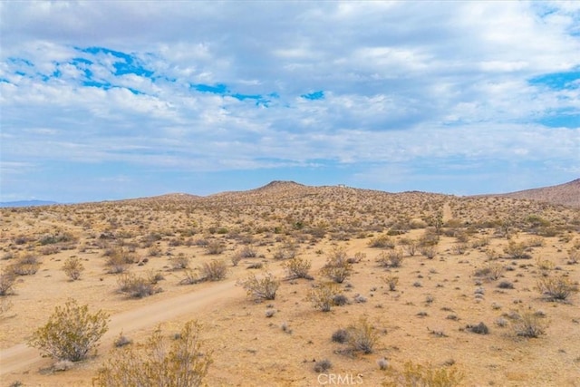 60150 Terrace Dr, Joshua Tree, CA 92252 - photo 15