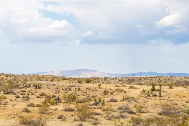 60150 Terrace Dr, Joshua Tree, CA 92252 - photo 22