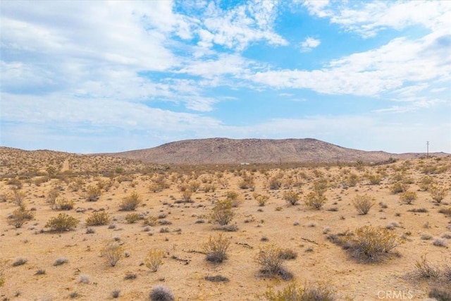 60150 Terrace Dr, Joshua Tree, CA 92252 - photo 14