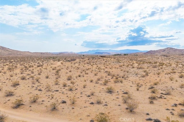 60150 Terrace Dr, Joshua Tree, CA 92252 - photo 11