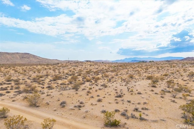 60150 Terrace Dr, Joshua Tree, CA 92252 - photo 12