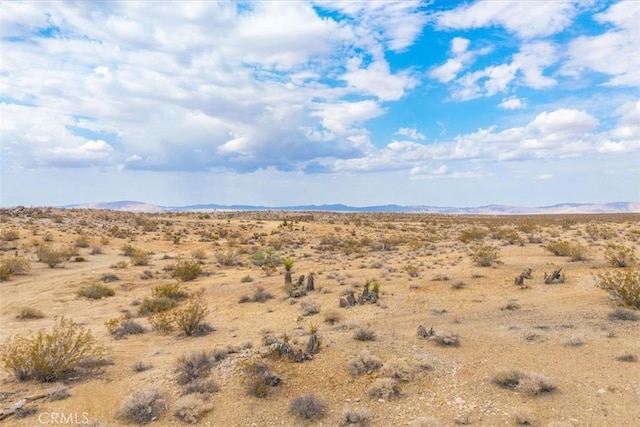 60150 Terrace Dr, Joshua Tree, CA 92252 - photo 20