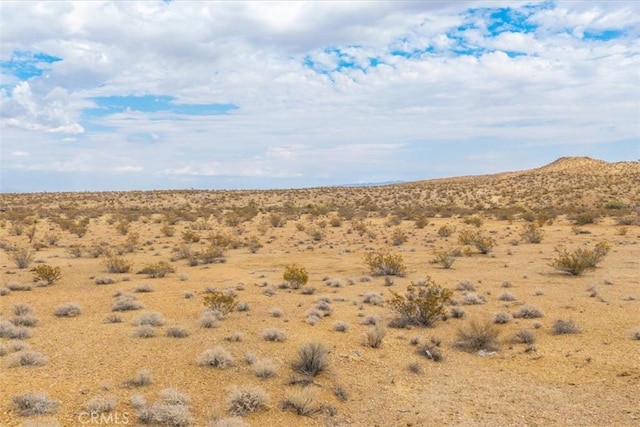 60150 Terrace Dr, Joshua Tree, CA 92252 - photo 24
