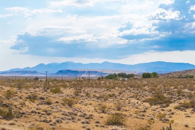 60150 Terrace Dr, Joshua Tree, CA 92252 - photo 23
