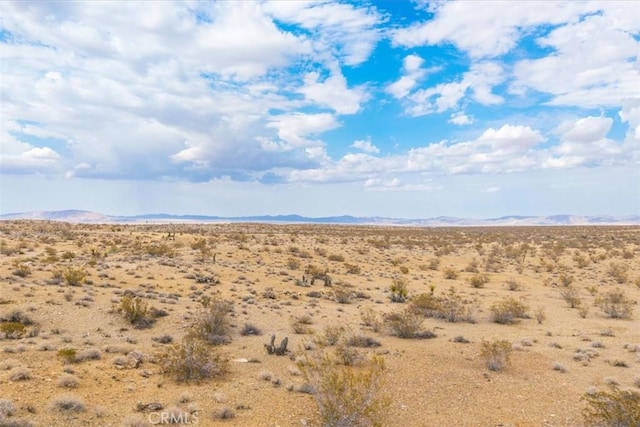 60150 Terrace Dr, Joshua Tree, CA 92252 - photo 17