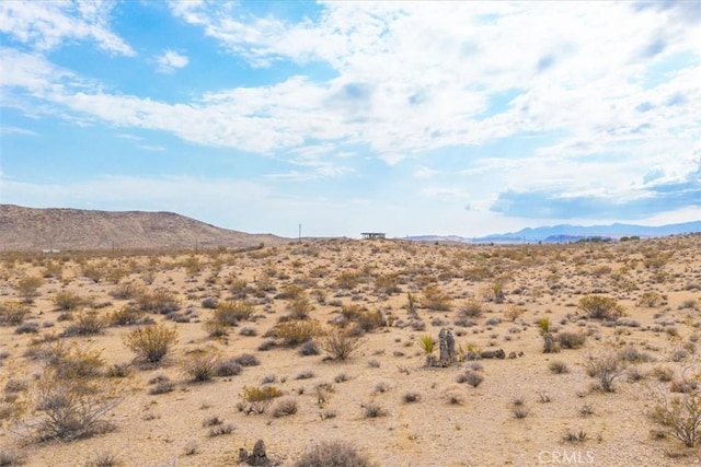 60150 Terrace Dr, Joshua Tree, CA 92252 - photo 13