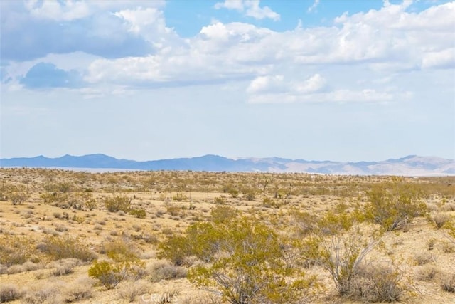 60150 Terrace Dr, Joshua Tree, CA 92252 - photo 21