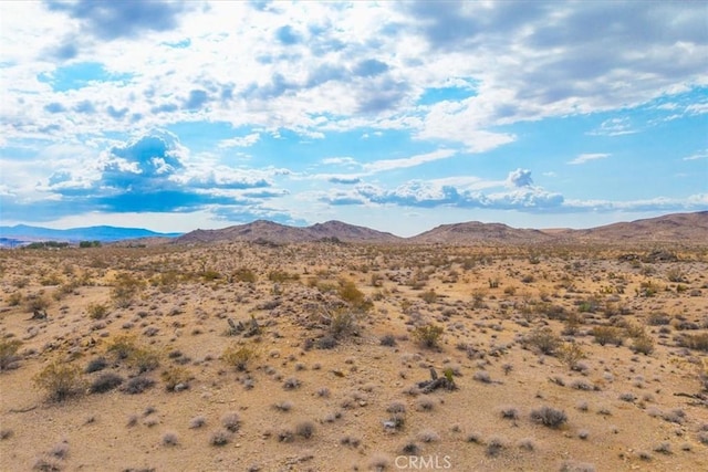 60150 Terrace Dr, Joshua Tree, CA 92252 - photo 16