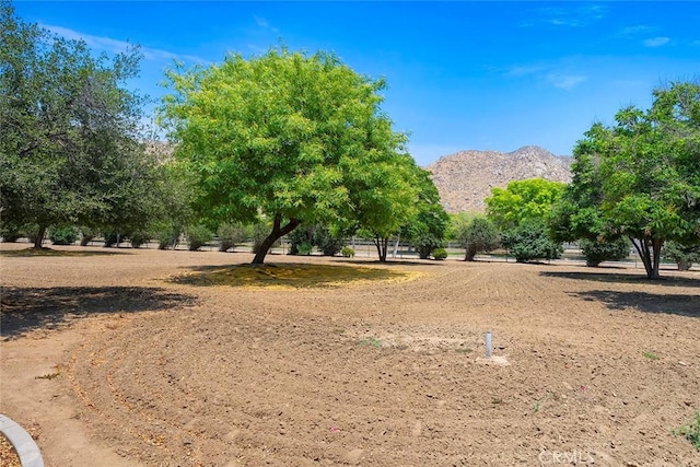 24568 Three Springs Rd, Hemet, CA 92545 - photo 56