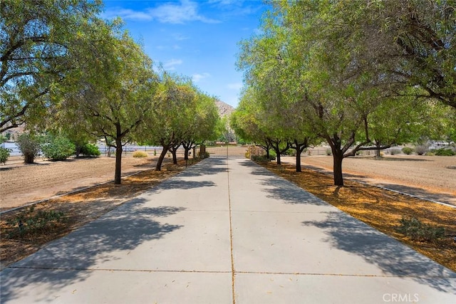 24568 Three Springs Rd, Hemet, CA 92545 - photo 66