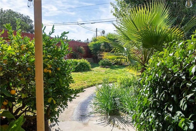 1208 Glines Ave, Santa Maria, CA 93455 - photo 22