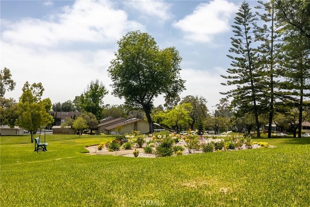 13526 La Jolla Cir Unit 207-D, La Mirada, CA 90638 - photo 36