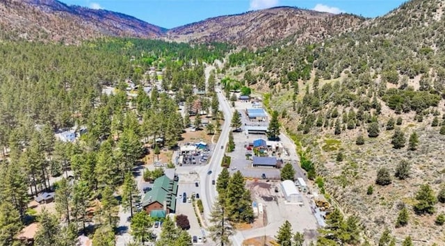 1301 Irene St, Wrightwood, CA 92397 - photo 7
