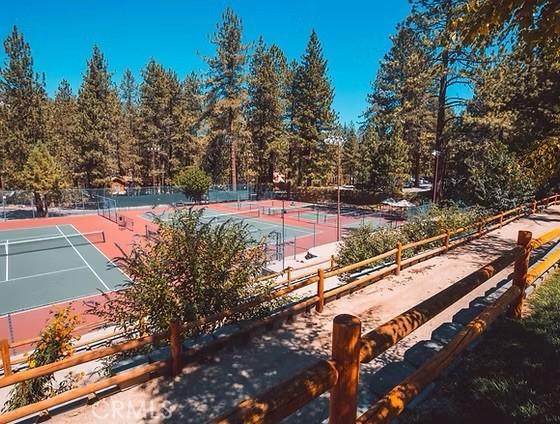 1301 Irene St, Wrightwood, CA 92397 - photo 14