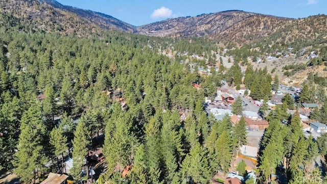 1301 Irene St, Wrightwood, CA 92397 - photo 13
