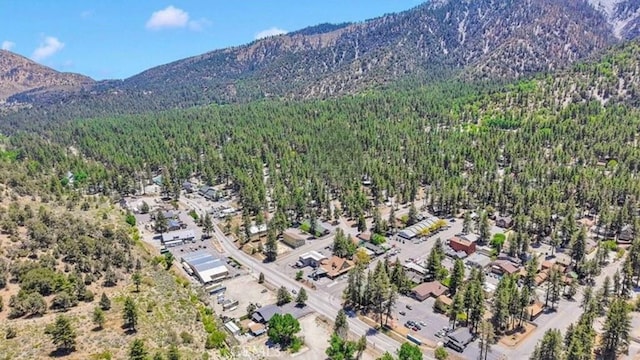 1301 Irene St, Wrightwood, CA 92397 - photo 10