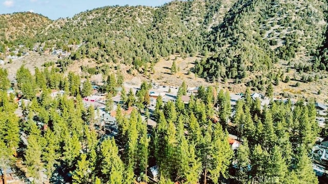 1301 Irene St, Wrightwood, CA 92397 - photo 11