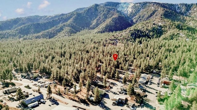 1301 Irene St, Wrightwood, CA 92397 - photo 8