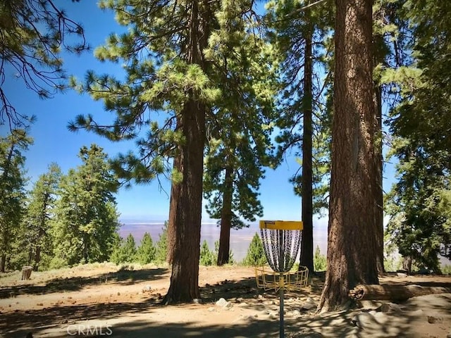 1301 Irene St, Wrightwood, CA 92397 - photo 19