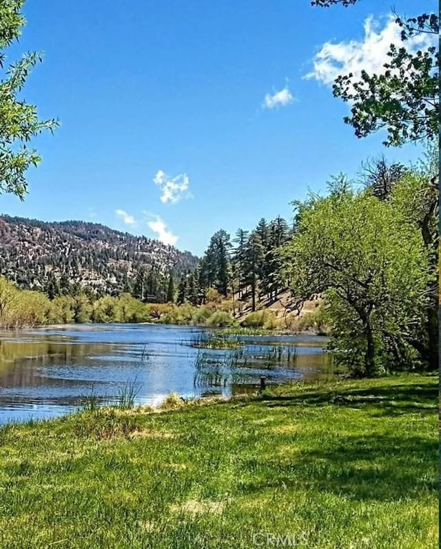 1301 Irene St, Wrightwood, CA 92397 - photo 17