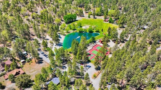 1301 Irene St, Wrightwood, CA 92397 - photo 9