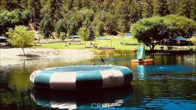 1301 Irene St, Wrightwood, CA 92397 - photo 16