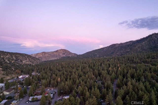 1301 Irene St, Wrightwood, CA 92397 - photo 1