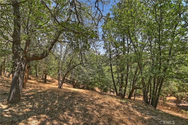 28324 Somerset Ln, Lake Arrowhead, CA 92352 - photo 56