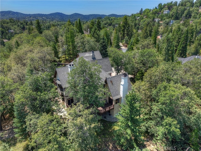 28324 Somerset Ln, Lake Arrowhead, CA 92352 - photo 60