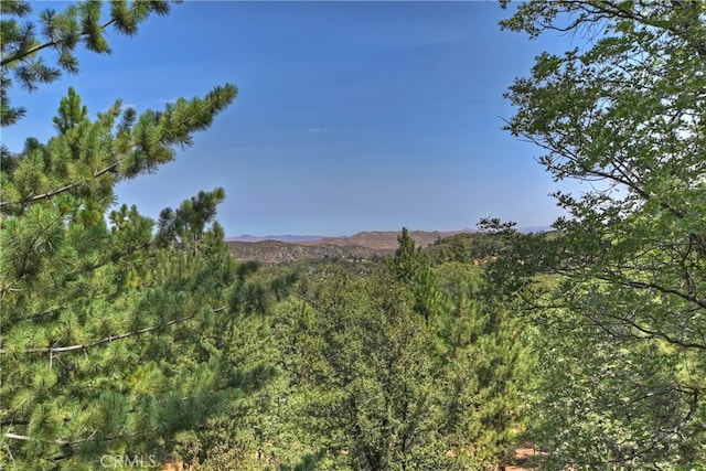 28324 Somerset Ln, Lake Arrowhead, CA 92352 - photo 33