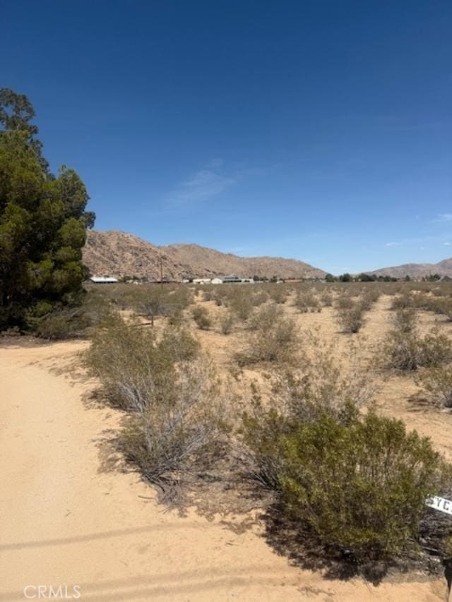 0 Ocotilla, Apple Valley, CA 92307 - photo 1