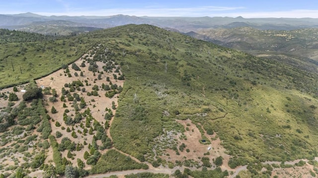 0 Iron Springs Rd, Julian, CA 92036 - photo 4