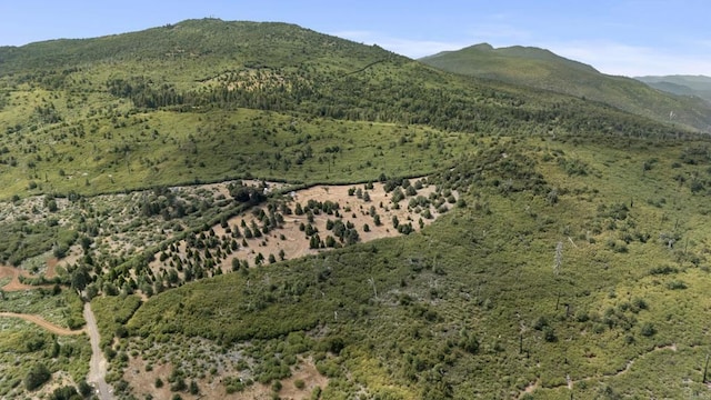 0 Iron Springs Rd, Julian, CA 92036 - photo 5