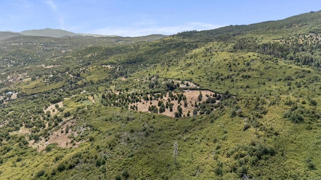 0 Iron Springs Rd, Julian, CA 92036 - photo 6