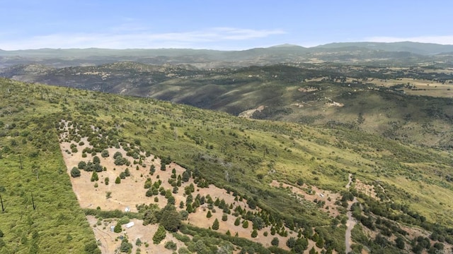 0 Iron Springs Rd, Julian, CA 92036 - photo 10