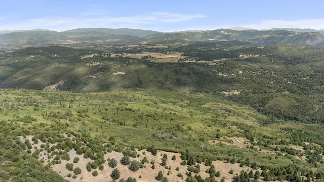 0 Iron Springs Rd, Julian, CA 92036 - photo 9