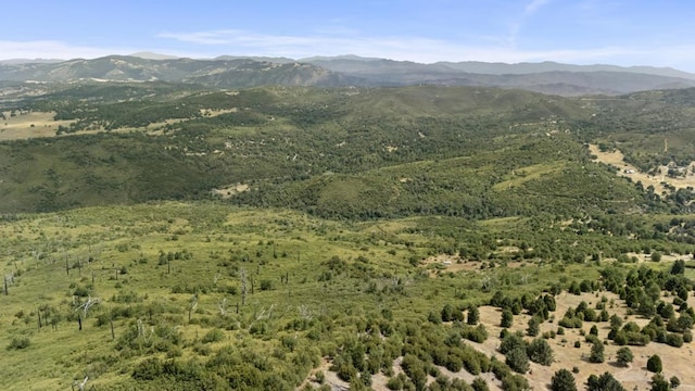 0 Iron Springs Rd, Julian, CA 92036 - photo 8