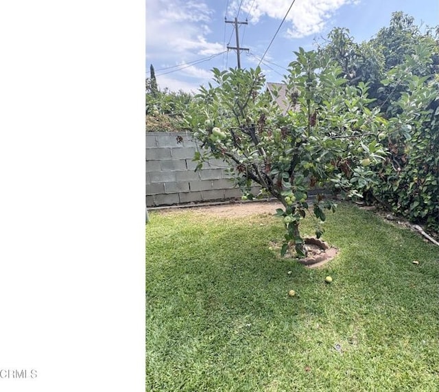 1255 N Dominion Ave, Pasadena, CA 91104 - photo 35