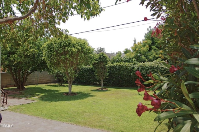 1255 N Dominion Ave, Pasadena, CA 91104 - photo 38