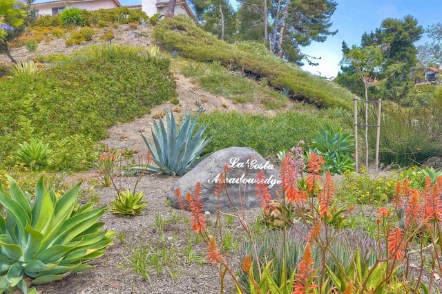 3115 Avenida Topanga, Carlsbad, CA 92009 - photo 39
