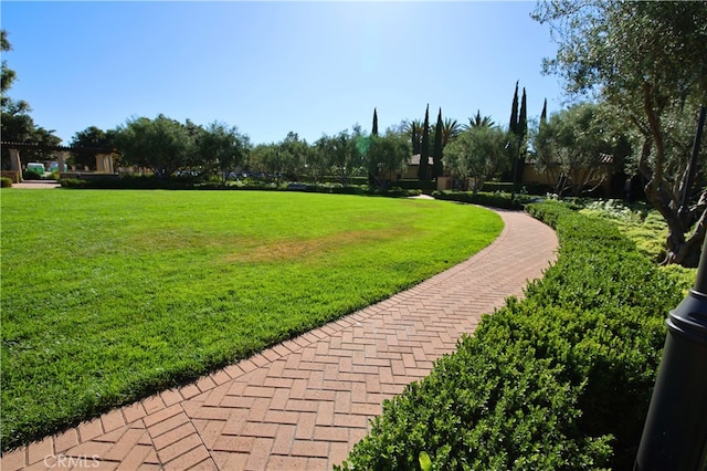 74 Cactus Flower, Irvine, CA 92620 - photo 42