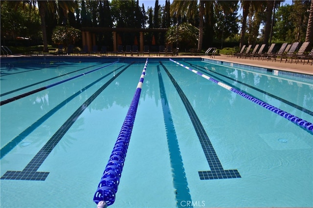 74 Cactus Flower, Irvine, CA 92620 - photo 49