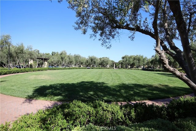 74 Cactus Flower, Irvine, CA 92620 - photo 46
