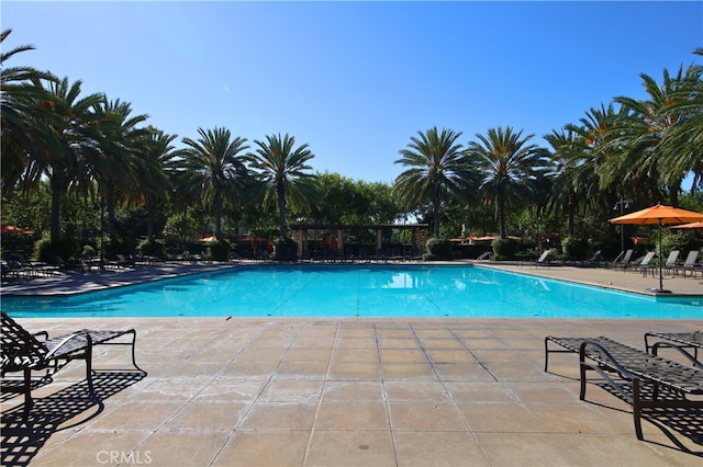 74 Cactus Flower, Irvine, CA 92620 - photo 53
