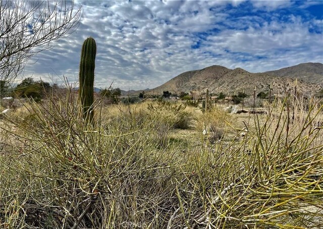 11040 Mescalero Ave, Morongo Valley, CA 92256 - photo 12