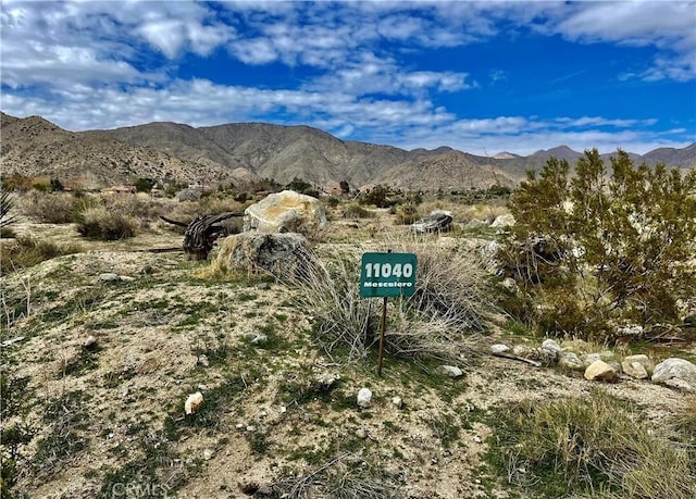 11040 Mescalero Ave, Morongo Valley, CA 92256 - photo 4