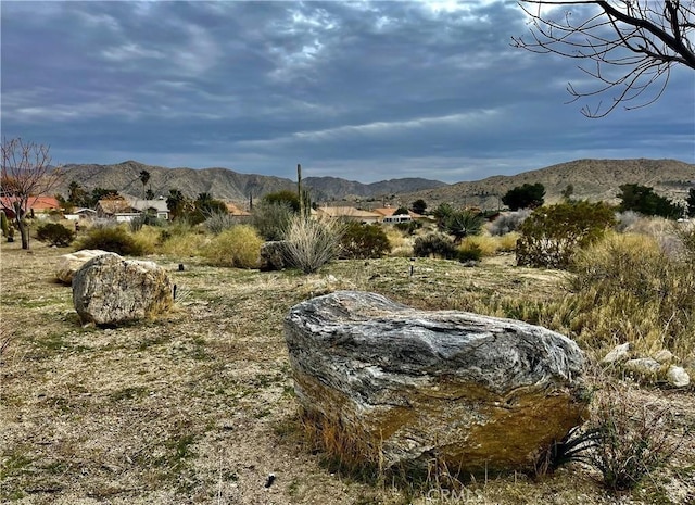 11040 Mescalero Ave, Morongo Valley, CA 92256 - photo 10