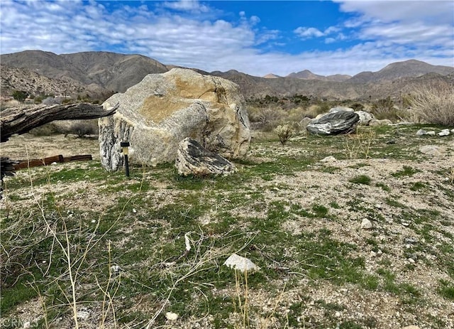 11040 Mescalero Ave, Morongo Valley, CA 92256 - photo 7