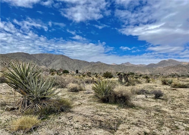 11040 Mescalero Ave, Morongo Valley, CA 92256 - photo 13