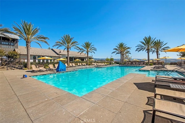 521 Stallion Way, Rancho Mission Viejo, CA 92694 - photo 49